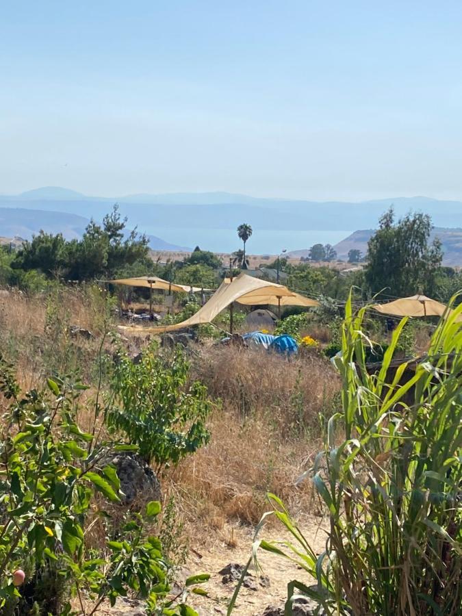 Suite Truck- Natura Eco Farm Bagian luar foto